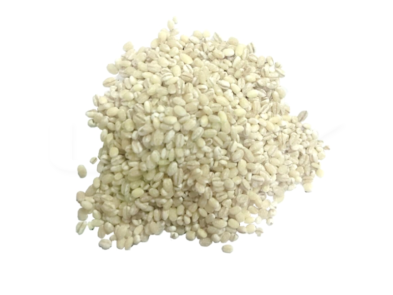 Barli Holland/ Holland Barley 